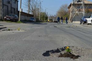 Cativa tulceni au plantat panselute in gropile din oras