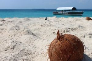 O lume întreagă într-o singură ţară. De ce ar trebui să vizitezi Africa de Sud măcar o dată în viaţă