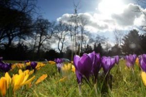 Cum va fi VREMEA şi ce TEMPERATURI ne aşteaptă în următoarele zile. ANUNȚ de ultimă oră de la METEOROLOGI