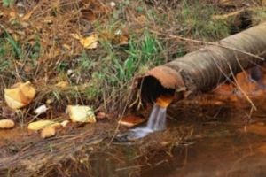 Poluare accidentală cu ulei a râului Mureş