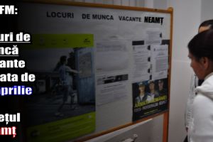 AJOFM: 491 locuri de muncă vacante la data de 14 aprilie 2018 în judeţul Neamţ