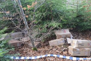 Ţigări de contrabandă de peste 30.000 de euro, abandonate la Costileva de Sus