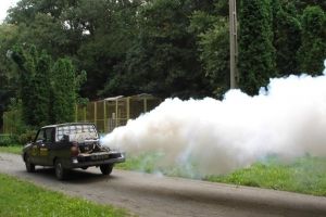 Timisoara, tot fara dezinsectie. Abia acum se pregateste licitatia