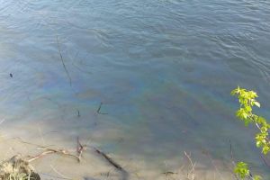 FOTO Poluarea industrială de pe râul Mureş. Romgaz: Scurgerile nu au afectat sănătatea publică, flora sau fauna