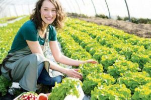 Subvenţia de 250 euro/lună: Anunţul urgent al agenţiei de muncă pentru toţi fermierii