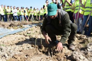 FOTO. Proiectul „Pădurea de Mâine” continuă cu plantarea a 10 hectare în Dumbrăviţa, Braşov