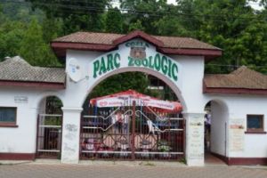 ALERTĂ la grădina zoologică din Neamţ. O maimuţă A EVADAT şi terorizează oamenii! VIDEO