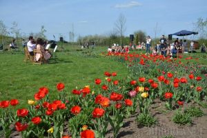 Festivalul Primăverii de la Santăul Mic, un succes: Lume multă, atmosferă colorată, muzică de calitate (FOTO)