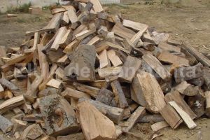  Controale la fonduri forestiere: 8.000 de metri cubi de lemn, confiscat de politisti