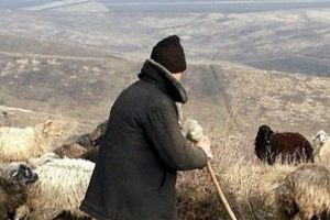 PĂRĂSIT de SOȚIE, un CIOBAN şi-a BĂTUT vecinii. Versiunea spusă de VICTIME pe holul de la IML