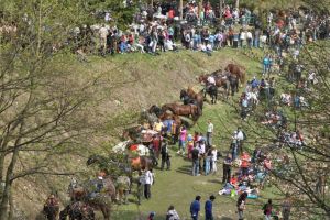 Superba petrecere a junilor, întinată de comercianţi inconştienţi