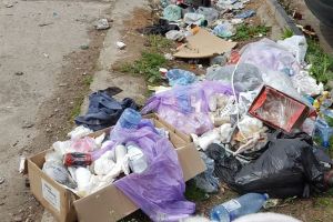 FOTO. Mormane de gunoaie pe spaţiile verzi, lângă parcări şi trotuare, într-un cartier din Alba Iulia