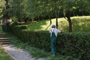 Lucrări de înfrumuseţare a municipiului Târgu-Mureş