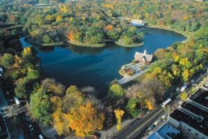 Gestul care a ȘOCAT o lume întreagă. Un bărbat ȘI-A DAT FOC într-un parc, în văzul tuturor