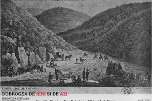 Sanatatea si serviciul sanitar in Dobrogea la sfarsitul secolului al XIX-lea