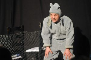 A început Festivalul Excelenţei Artei Actorului