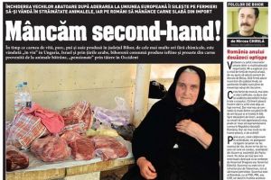 Nu rataţi noul BIHOREANUL tipărit!