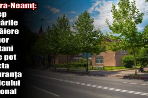 Piatra-Neamţ: Încep lucrările de tăiere a unor castani care pot afecta siguranţa traficului pietonal