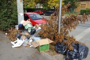 Incepe curatenia de primavara, la Timisoara. Programul de colectare