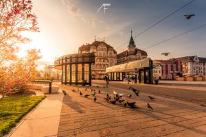 Fără câştigător! Juriul a respins toate cele 180 de propuneri pentru logo-ul municipiului Oradea