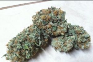 Un austriac a fost lăsat fără droguri la intrarea în ţară. Avea la el câteva pastile şi ”iarbă”