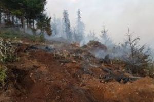 Val de incendii de vegetatie in Maramures