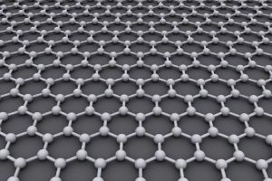 Premiul Nobel pare ACONTAT de Universitatea Harvard. REUȘITA cercetătorilor a făcut înconjurul lumii