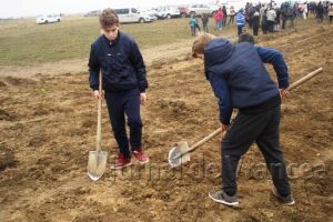 Peste 100 de mii de stejari vor fi plantaţi, sâmbătă, la Mărăşeşti