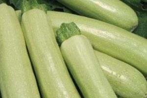 Dovlecei importati din Turcia, contaminati cu Metalaxil-M! ANSVSA a confiscat 20 de tone