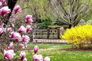 Cum va fi VREMEA până în 29 aprilie, în Transilvania şi la munte. ANM a publicat prognoza meteo pentru următoarele două săptămâni