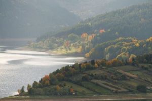 ALERTĂ NAȚIONALĂ! Lacul de acumulare de la Bicaz este SUFOCAT de MII de STICLE