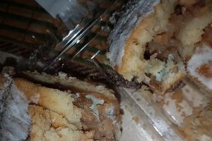 FOTO. Plăcintă cu mucegai, într-un hypermarket din Satu Mare. ,,Poftă bună!”