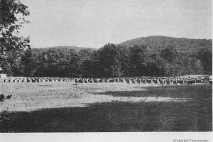 Padurile Dobrogei in anii 1900