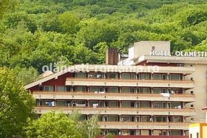 HOTEL OLANESTI angajeaza: sef receptie, receptioner, bucatar, lucrator bucatarie, ospatar, ajutor ospatar, camerista, asistent BFT si kinetoterapeut