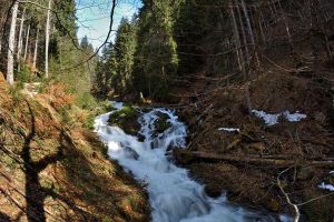 A venit primăvara şi în Munţii Rodnei. Imagini superbe surprinse de fotograful Alex Varga