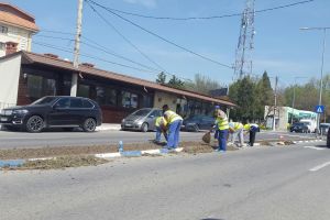 De bine!… A VENIT PRIMĂVARA ȘI LA CĂLĂRAȘI!…