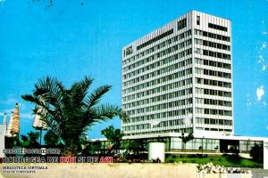 In anii ´70, langa hotelul Perla din Mamaia cresteau... palmieri