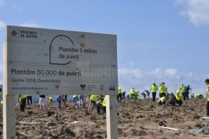 143.000 de puieţi de arbori vor fi plantaţi anul acesta, prin proiectul „Pădurea de ...