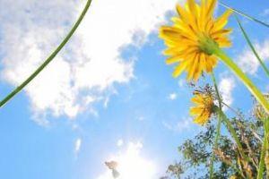 Prognoza meteo pe două săptămâni: Vezi cum va fi vremea în Transilvania până la finalul lunii aprilie