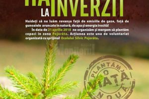 Campania de reîmpădurire „Hai la înverzit” ajunge sâmbătă la Pojorâta