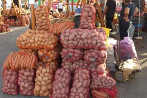 Pierderi semnificative înregistrate de producătorii de cartofi din Harghita