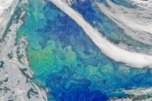 ALARMANT! Fenomenul care a dus APOCALIPSA în ERA GLACIARĂ se REPETĂ. Fenomenul AMOC pune în PERICOL întregul GLOB. Europa, prima VIZATĂ