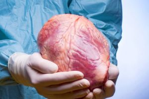 Dieta afecţiunilor cardiovasculare