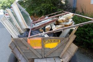 Primavara a venit, carutasii au iesit pe strazile Timisoarei