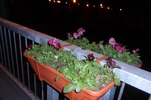 A rupt panselutele de la Michelangelo sa le dea iubitei, dupa o cearta zdravana