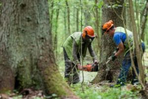 Polonia ÎNCALCĂ orice INTERDICŢIE care vine din partea Uniunii Europene