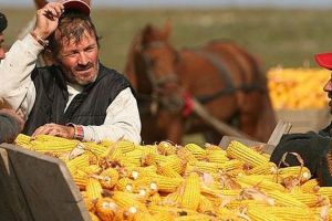 Asistaţii sociali au fost luaţi ”la ochi” de parlamentari: Vor putea fi angajaţi ca şi zilieri sau folosiţi la munci necalificate şi de societăţile comerciale – Proiect