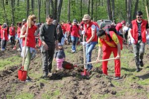 Luna plantării arborilor