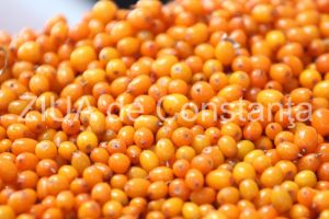 Sucul de catina, plin de vitamine si aminoacizi. De ce sa consumi catina