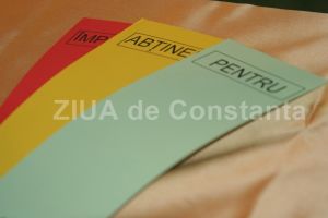 Deputatul Stelian Ion a propus incetarea de mandat pe conflict de interese:  Alesii locali, sanctionati cu diminuarea indemnizatiei pe maximum sase luni (galerie foto)